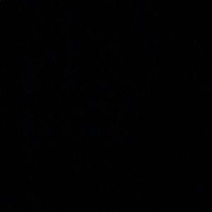 Meet your Posher, Meghan